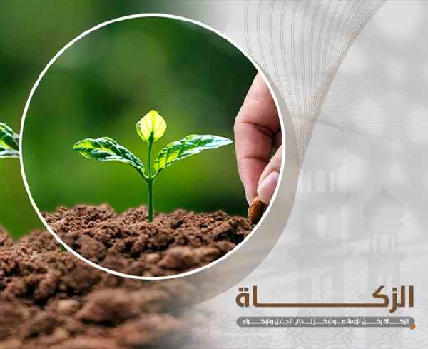 Picture of الزكاة